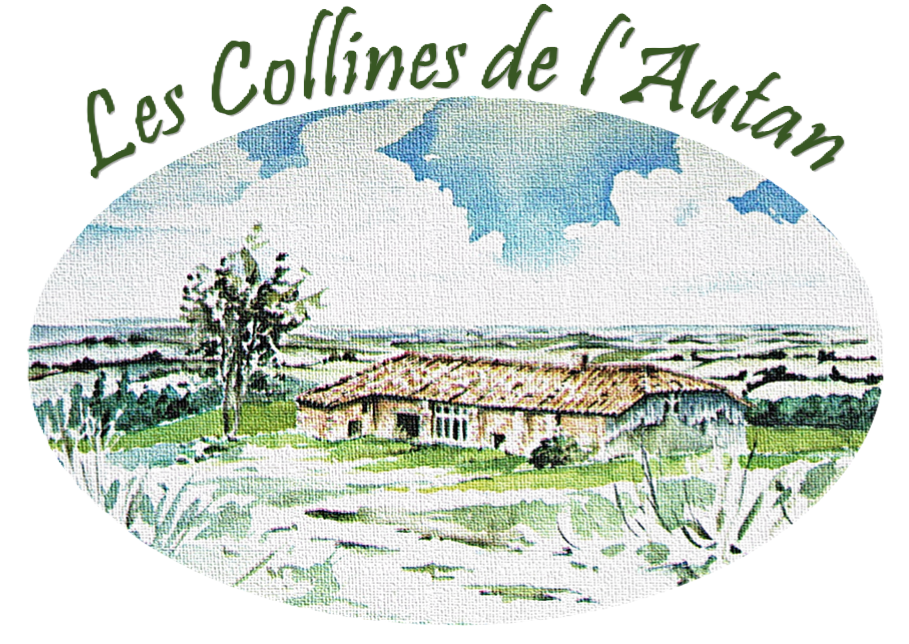 logo carte de visite2